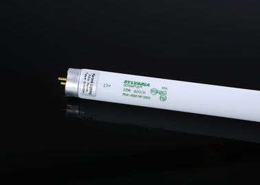 D65 D50 TL83 TL84 U30 U35 Fluorescent Tube Light 60cm Length With Different Color Temperature