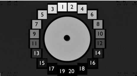 14524 Gray Levels Camera Test Chart Oecf20 10.000/1 X Version ...